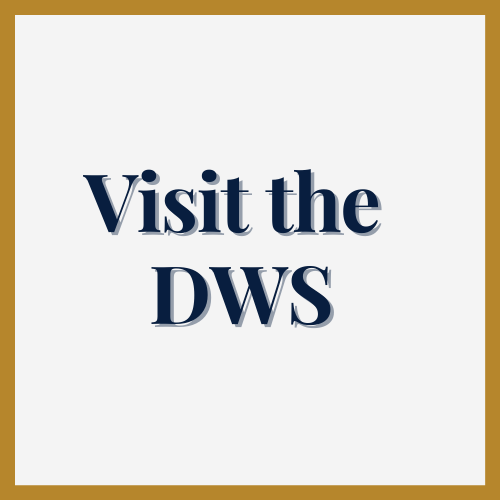 To visit the DWS